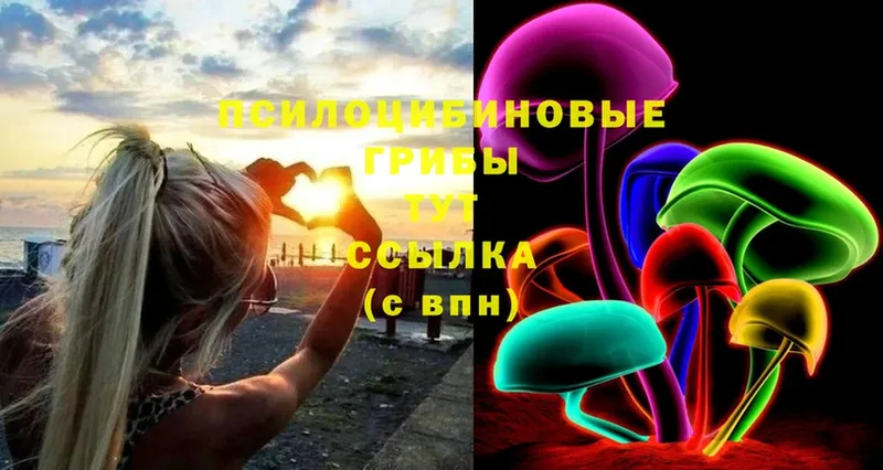 Галлюциногенные грибы MAGIC MUSHROOMS Дмитровск